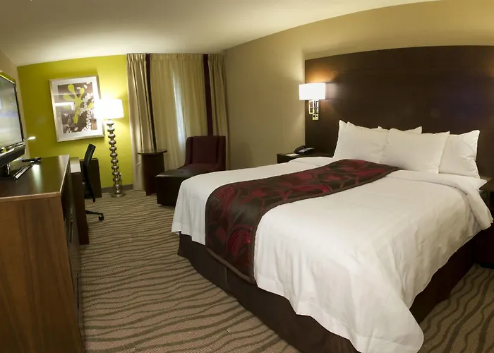 Fairfield Inn & Suites By Marriott Dallas Dfw Airport South/Irving